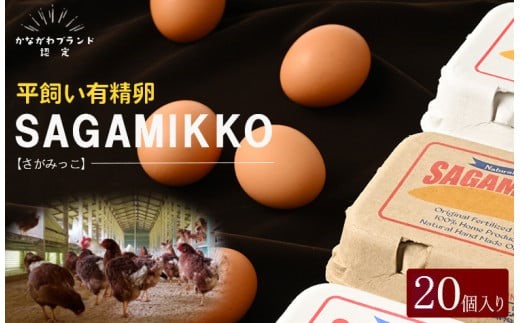 《かながわブランド認定》平飼い有精卵さがみっこ 10個入り×2パック 計20個 ｜ 平飼い ケージフリー 卵 有精卵 鶏卵 玉子 たまご 生卵 国産 濃厚 コク 旨味 ※離島への配送不可