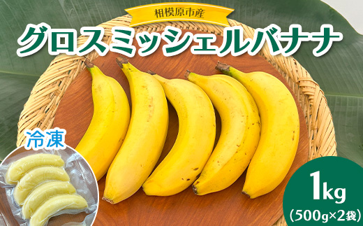 相模原産 グロスミッシェルバナナ　冷凍　1kg（500g×2袋）