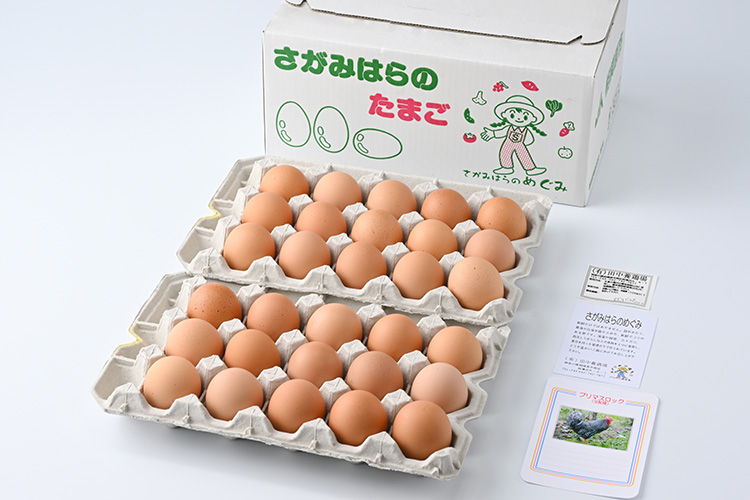 【相模原のブランド卵】鶏卵　プリマスロックの卵　化粧箱入り30個