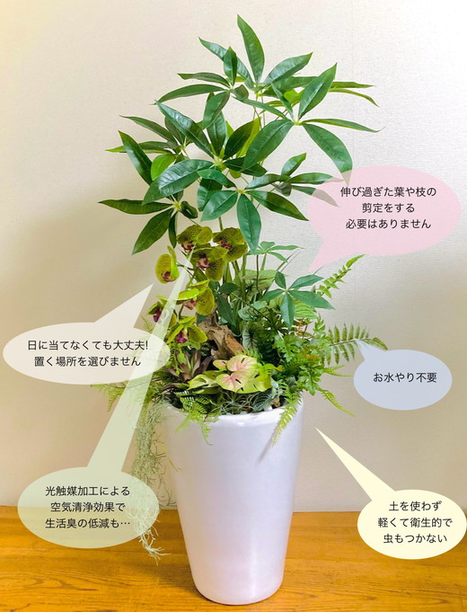 人工観葉植物 天然流木アート『パキラ/陶器』 ※北海道・沖縄・離島への配送不可