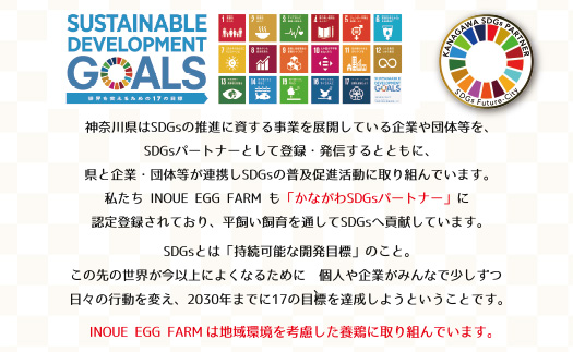 【6ヶ月定期便】《かながわブランド認定》平飼い有精卵さがみっこ 30個×6か月| 平飼い ケージフリー 卵 有精卵 鶏卵 玉子 たまご 生卵 国産 濃厚 コク 旨味 ※離島への配送不可
