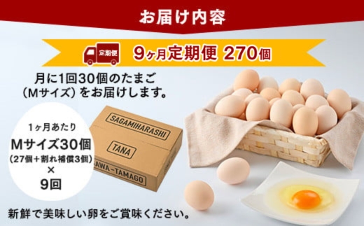 【9ヶ月定期便】相模原市田名のおがわのたまご　ピンク卵 Mサイズ 30個(27個＋割れ補償3個)×9か月| 卵 鶏卵 玉子 たまご 生卵 国産 濃厚 コク 旨味 旨み ※着日指定不可