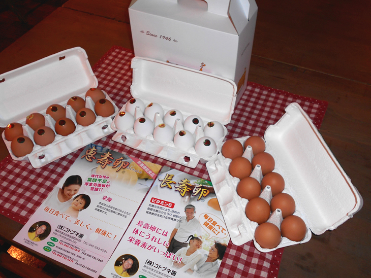【たまご街道】当社自慢の卵「恵壽卵」「長壽卵」が入った、ふるさと納税限定パッケージ30個入