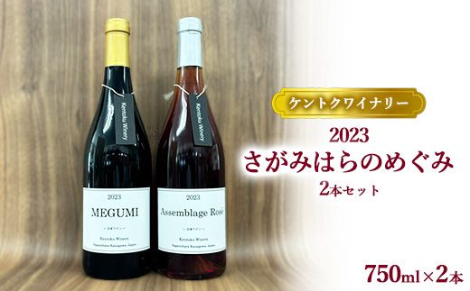 【ケントクワイナリー】2023 さがみはらのめぐみ 2本セット ※離島への配送不可