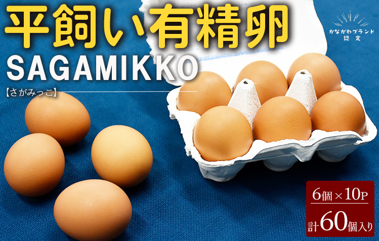 《かながわブランド認定》平飼い有精卵さがみっこ 10個入り×6パック 計60個 ｜ 平飼い ケージフリー 卵 有精卵 鶏卵 玉子 たまご 生卵 国産 濃厚 コク 旨味 ※離島への配送不可