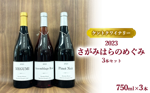 【ケントクワイナリー】2023 さがみはらのめぐみ 3本セット ※離島への配送不可