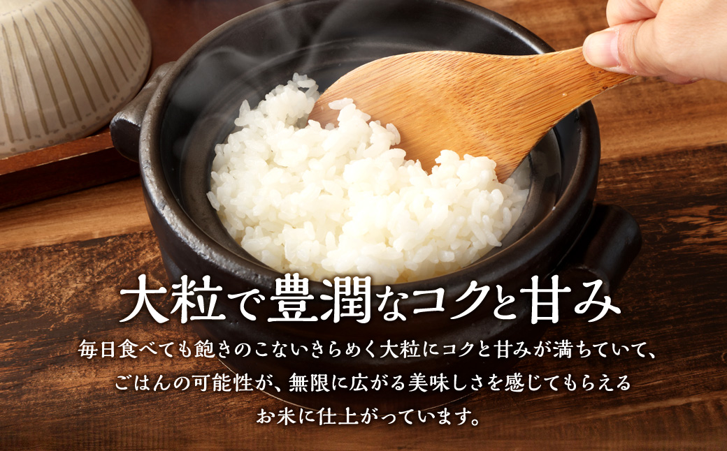 【令和6年産米】空舞米 岩船産 新之助 精米 12kg 1063002