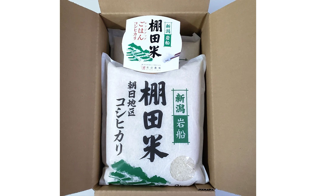 【令和6年産米】【定期便：2ヶ月連続でお届け】新潟県岩船産 棚田米コシヒカリ 4kg（2kg×2袋）+パックごはん(150ｇ×1個) ×2ヶ月 1067085