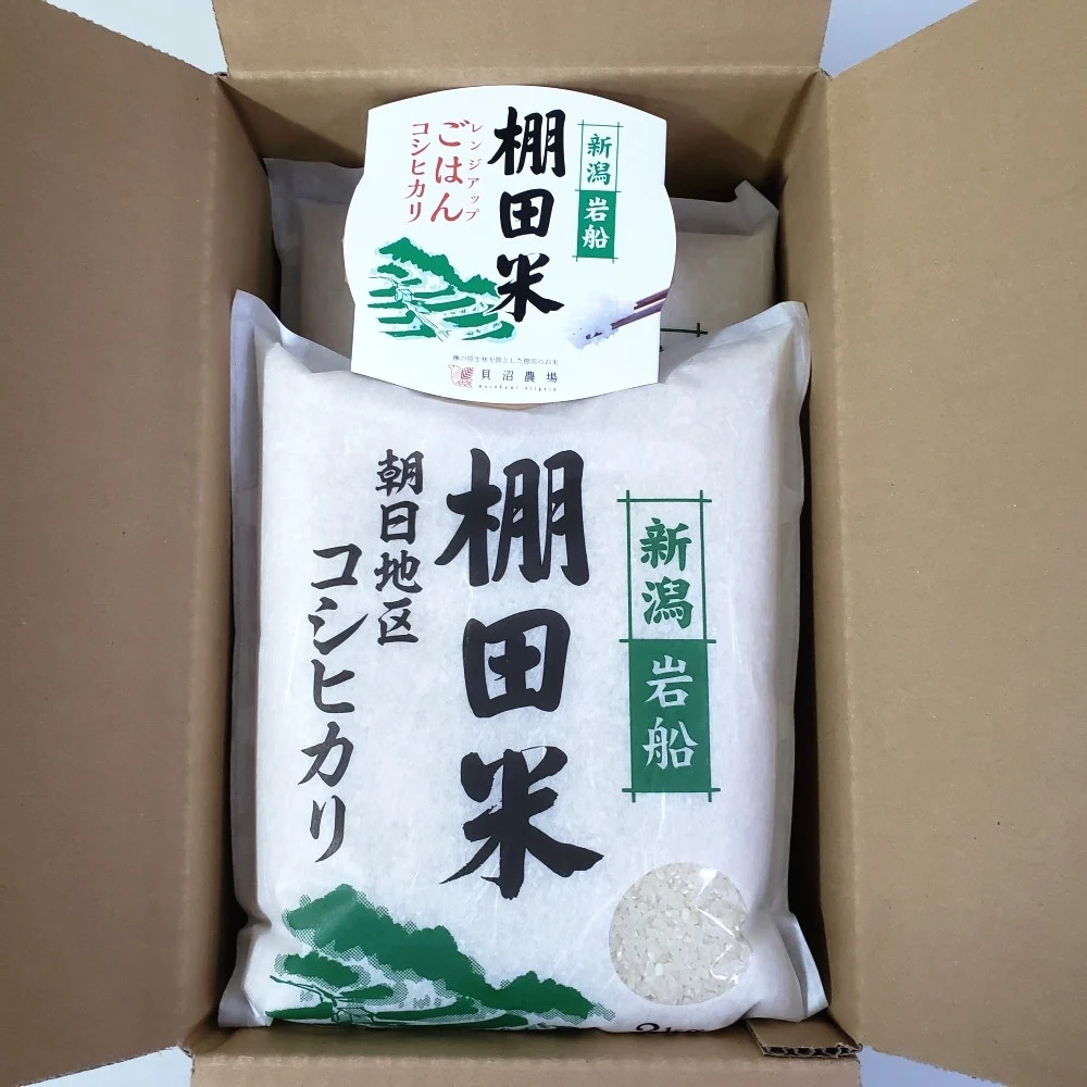 【令和6年産米】【定期便：3ヶ月連続でお届け】新潟県岩船産 棚田米コシヒカリ 4kg（2kg×2袋）+パックごはん(150ｇ×1個) ×3ヶ月 1067086