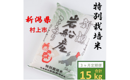 【令和6年産米】【3ヶ月定期便】特別栽培米  岩船米 コシヒカリ 15kg (5kg×3ヶ月コース）　1013003