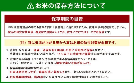 【定期便：8ヶ月連続でお届け】【令和6年産米】新潟県岩船産 棚田米コシヒカリ 6kg（2kg×3袋）+パックごはん(150g×1個)×8ヶ月 1067009