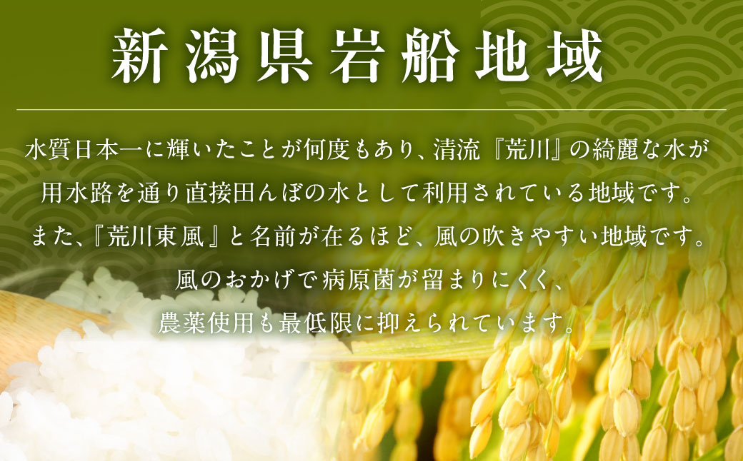 【定期便 12ヶ月】【令和6年産米】新潟県岩船産 新之助 精米 6kg（2kg×3個セット）×12ヶ月 1050004