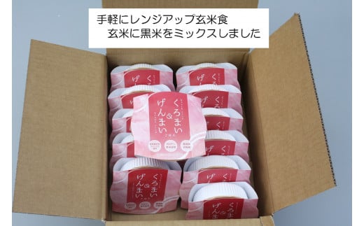 【新米受付・令和6年産米】【3ヶ月定期便】【お手軽玄米】くろまい＆げんまい パックご飯 150g 12個入り×3ヶ月（特別栽培コシヒカリを使用） 1039006N｜玄米 黒米 アントシアニン 健康志向 便利 簡単 毎月届く