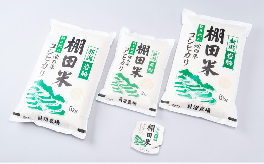 【定期便：8ヶ月連続でお届け】【令和6年産米】新潟県岩船産 棚田米コシヒカリ 12kg+パックごはん(150g×1個)×8ヶ月 1067018