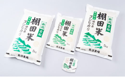 【定期便：6ヶ月連続でお届け】【令和6年産米】新潟県岩船産 棚田米コシヒカリ 12kg+パックごはん(150g×1個)×6ヶ月 1067016