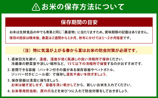 【定期便：2ヶ月連続でお届け】【令和6年産米】新潟県岩船産 棚田米コシヒカリ 12kg+パックごはん(150g×1個)×2ヶ月 1067013