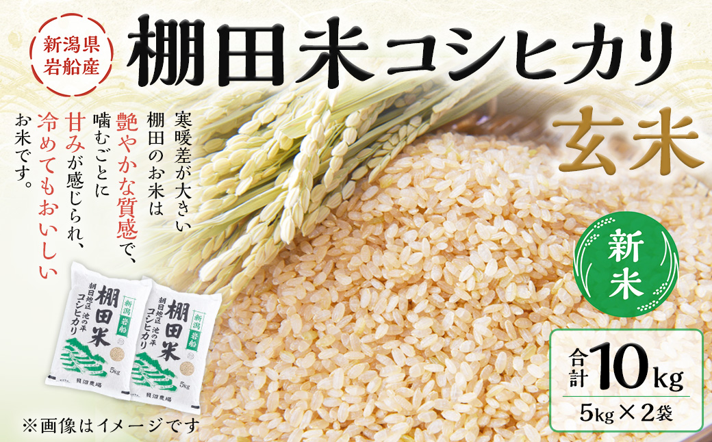 【新米受付・令和6年産米】新潟県岩船産 棚田米 コシヒカリ 玄米 10kg NAB4041