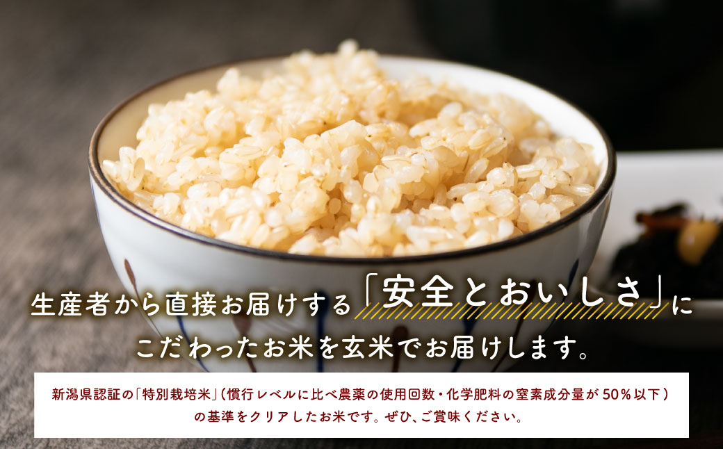 【新米受付・令和6年産米】NAB4019 特別栽培米 新潟県岩船産コシヒカリ玄米 10kg