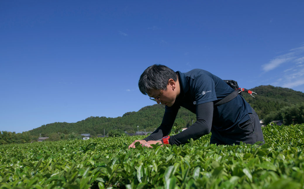 B4057 村上茶・雪国紅茶丸缶ギフトセット