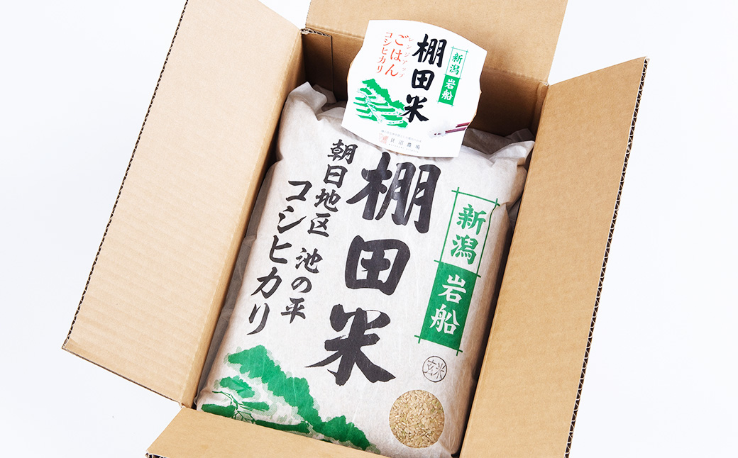 【定期便：9ヶ月連続でお届け】【令和6年産米】新潟県岩船産 棚田米コシヒカリ 玄米10kg ＋ 棚田米コシヒカリのパックごはん(150g×1個)×9ヶ月 1067044