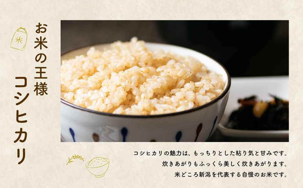 AB4019 【令和5年産米】特別栽培米 新潟県岩船産 コシヒカリ 玄米 10kg