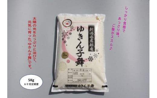 【令和6年産米】【6ヶ月定期便】ゆきん子舞 白米 5kg×6ヶ月 1039022 お米 米 精米 ご飯 ごはん