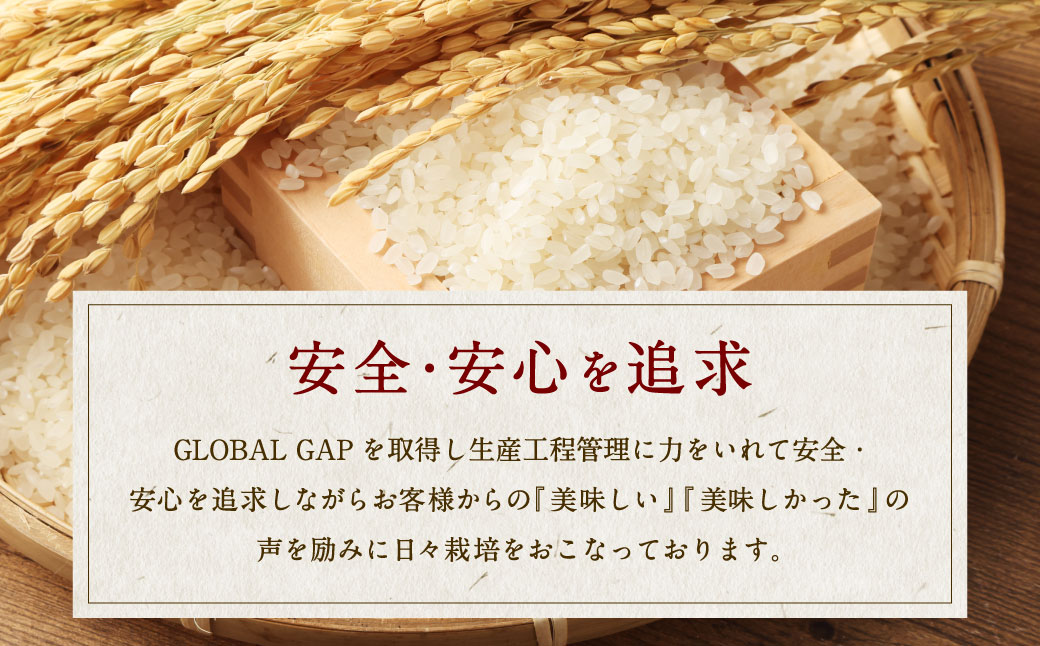 【定期便 6ヶ月】【令和6年産米】新潟県岩船産 新之助 精米6kg（2kg×3個セット）×6ヶ月 1050003