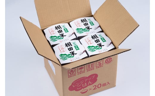 【令和6年産米】【定期便：10ヶ月連続でお届け】新潟県岩船産 棚田米コシヒカリのパックごはん(150g×20個)×10ヶ月 1067055