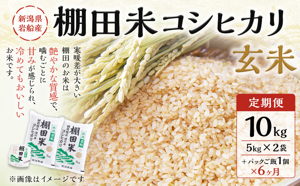 【定期便：6ヶ月連続でお届け】【令和6年産米】新潟県岩船産 棚田米コシヒカリ 玄米10kg ＋ 棚田米コシヒカリのパックごはん(150g×1個)×6ヶ月 1067041