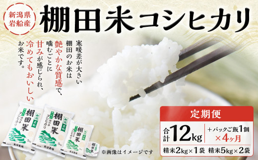 【定期便：4ヶ月連続でお届け】【令和6年産米】新潟県岩船産 棚田米コシヒカリ 12kg+パックごはん(150g×1個)×4ヶ月 1067015