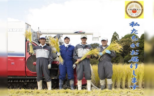 【新米受付・令和6年産米】【3ヶ月定期便】食味鑑定士板垣謹製 新潟県岩船産 コシヒカリ 白米 5kg×3ケ月 NC4080