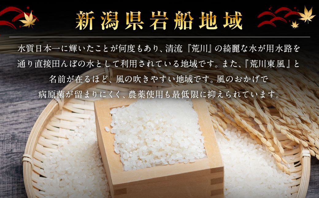 【定期便 6ヶ月】【令和6年産米】新潟県岩船産コシヒカリ  精米6kg（2kg×3個セット）×6ヶ月 1050001