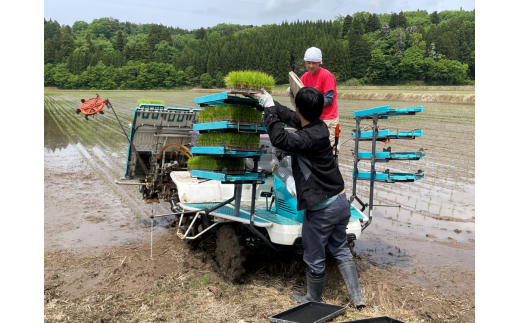 【新米受付・令和6年産米】新潟県産 こしいぶき 5kg×2袋（合計10kg） 精米 お米 白米 1033001N