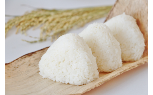 【令和5年産米】新潟県村上市産 3種類のお米の銘柄食べ比べセット 6kg（ 岩船産コシヒカリ・夢ごこち・新之助 各2kg） お試し お米 精米 白米 1033002 