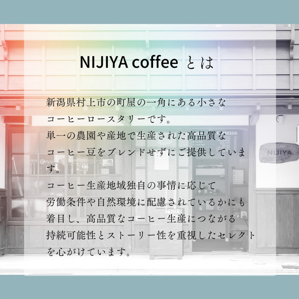 【定期便：12ヶ月連続でお届け】シングルオリジンコーヒー 100g × 3品種（中挽き）計300g×12ヶ月 1075018 コーヒー 珈琲 粉