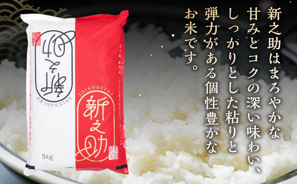 【新米受付・令和6年産米】【定期便：3ヶ月連続でお届け】 村上市産 新之助 36kg （12kg×3ヶ月）コース 1027007N