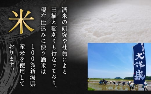 大洋盛 セット SK（720ml 飲み比べ 2本セット）1009003 大洋酒造 サケ×サケ大洋盛 金乃穂大洋盛 日本酒 お酒 酒