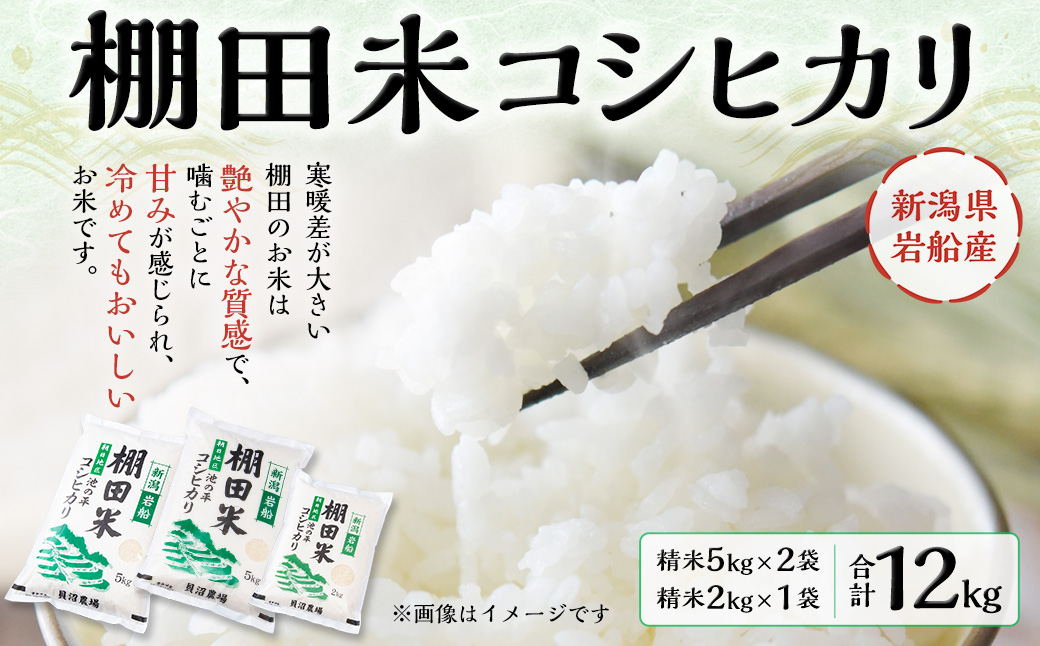 B4107 【令和6年産米】新潟県岩船産 棚田米 コシヒカリ 12kg