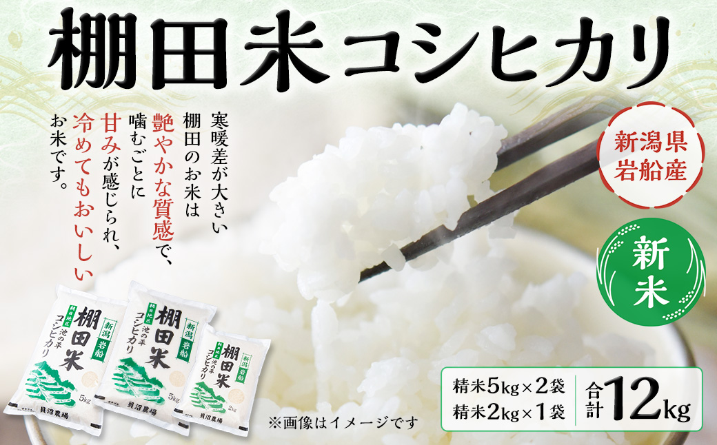 【新米受付・令和6年産米】NB4107 新潟県岩船産　棚田米コシヒカリ12kg