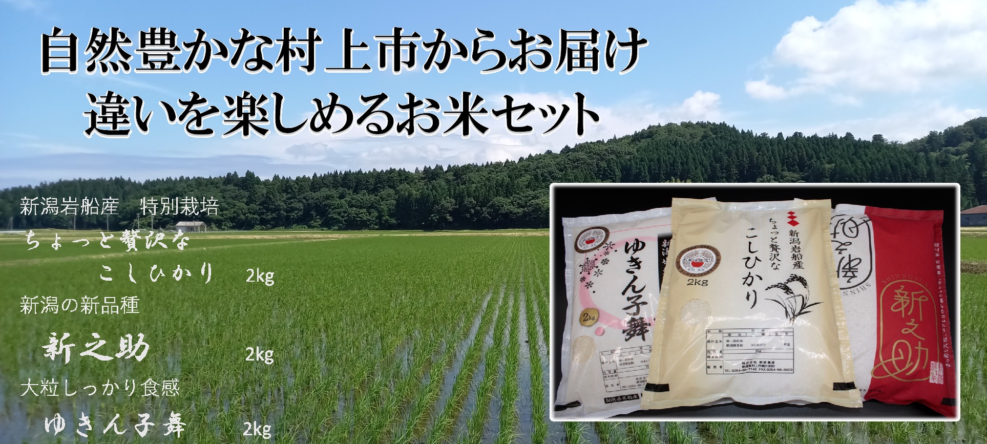 【新米受付・令和6年産米】NA4110 違いを楽しめるお米セット 新潟県産 コシヒカリ・ゆきん子舞・新之助　計6kg