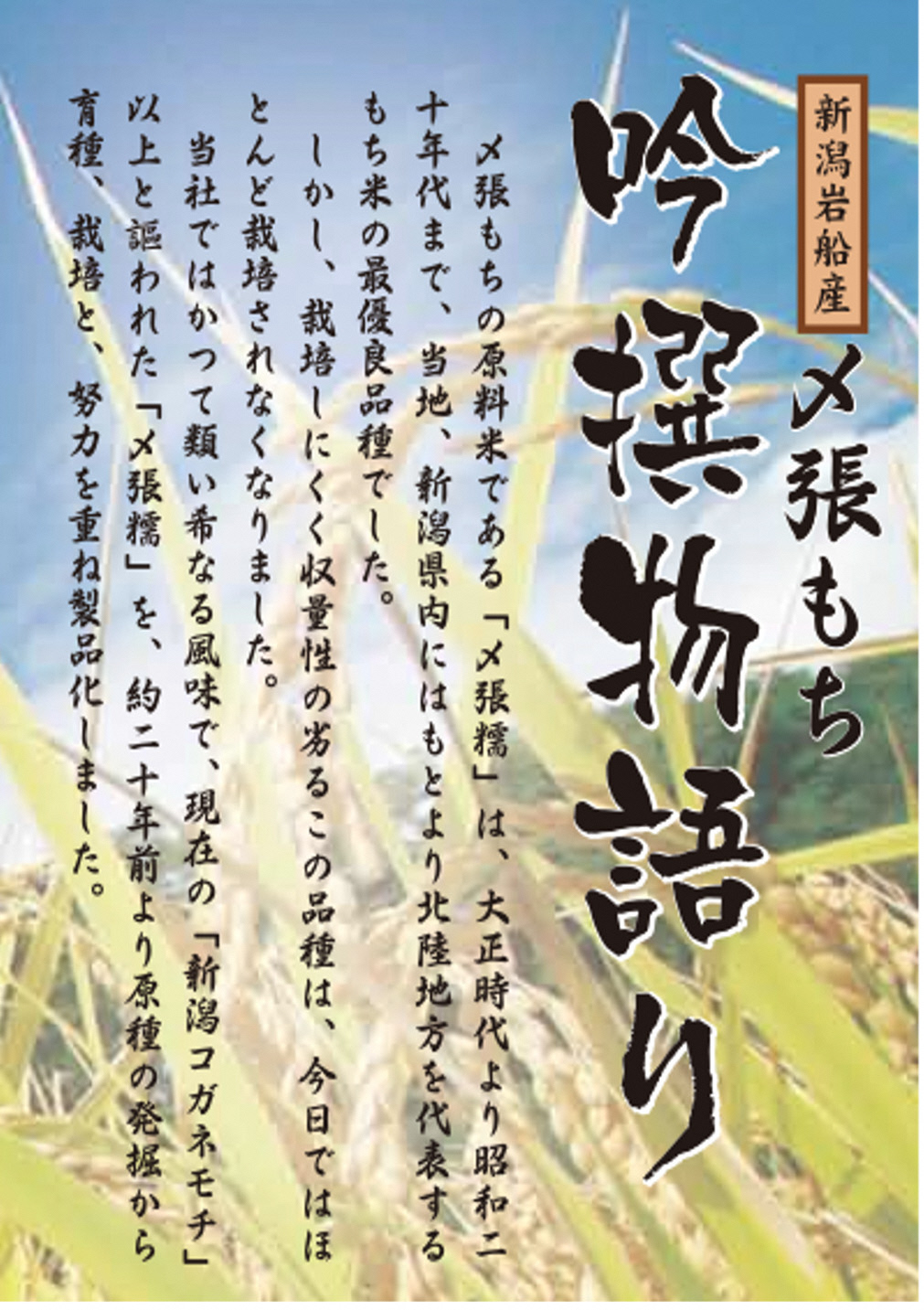 B4044 【令和6年産米】自然豊かな風土が育んだ新潟県岩船産コシヒカリ5kgと杵つき黄金もちセット