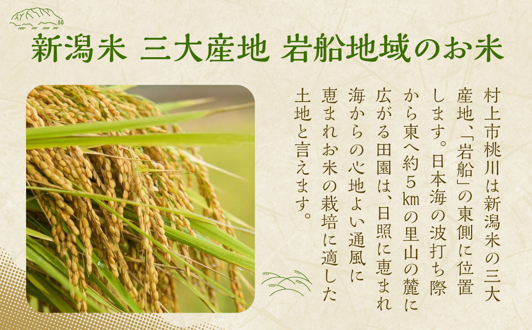 【新米受付・令和6年産米】 NAB4037 村上市桃川産 特別栽培米  新之助8kg