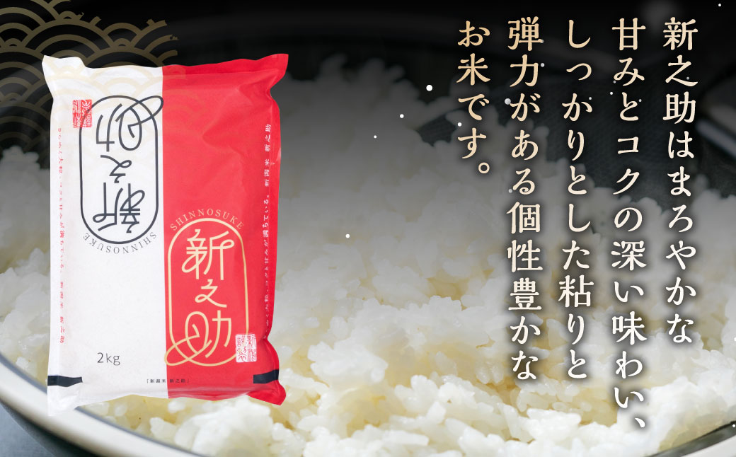 【新米受付・令和6年産米】【定期便：3ヶ月連続でお届け】 村上市産 新之助 18kg （6kg×3ヶ月）コース 1027003N