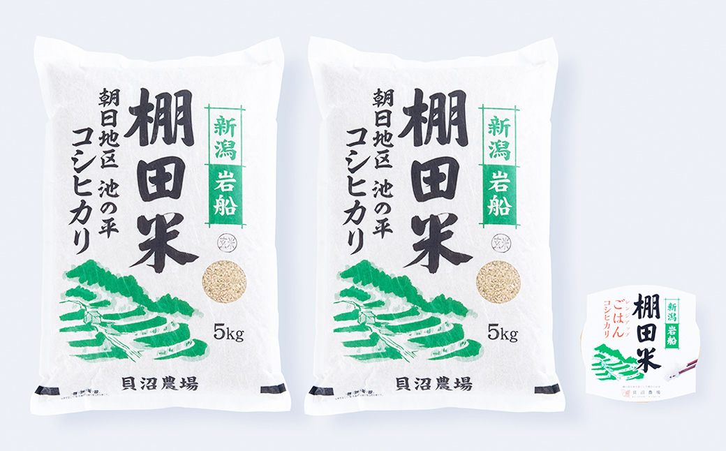 【定期便：8ヶ月連続でお届け】【令和6年産米】新潟県岩船産 棚田米コシヒカリ 玄米10kg ＋ 棚田米コシヒカリのパックごはん(150g×1個)×8ヶ月 1067043