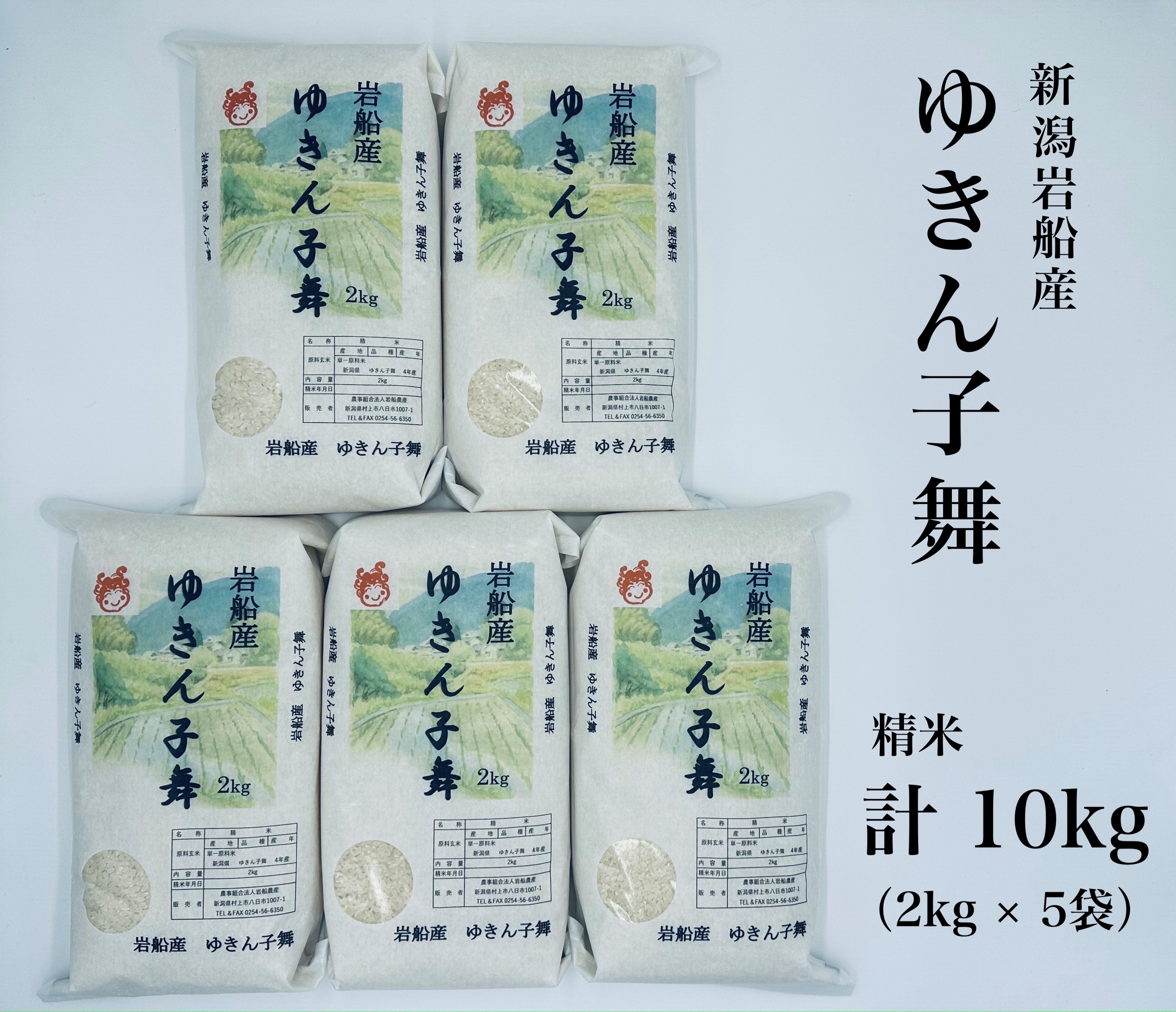 HOT品質保証 NA4189 特別栽培米 新潟県岩船産コシヒカリ5kg：新潟県村上市