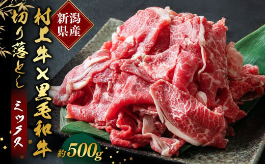 【赤身と程よい脂身のバランス】村上牛×黒毛和牛の切り落とし肉 500g×1パック 約2〜3人前 生産者直送 にいがた和牛 santaふぁーむ [1031002]