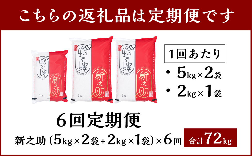 【令和6年産米】【定期便：6ヶ月連続でお届け】 村上市産 新之助 72kg （12kg×6ヶ月）コース 1027013