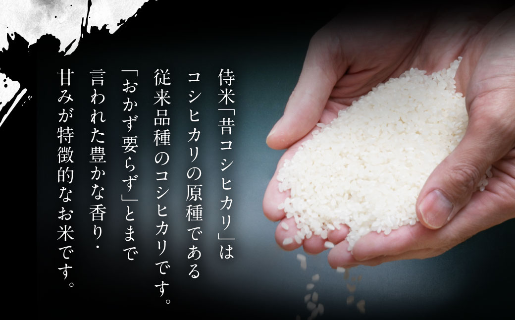 【定期便 6ヶ月】【令和6年産米】新潟県岩船産コシヒカリ  精米6kg（2kg×3個セット）×6ヶ月 1050001