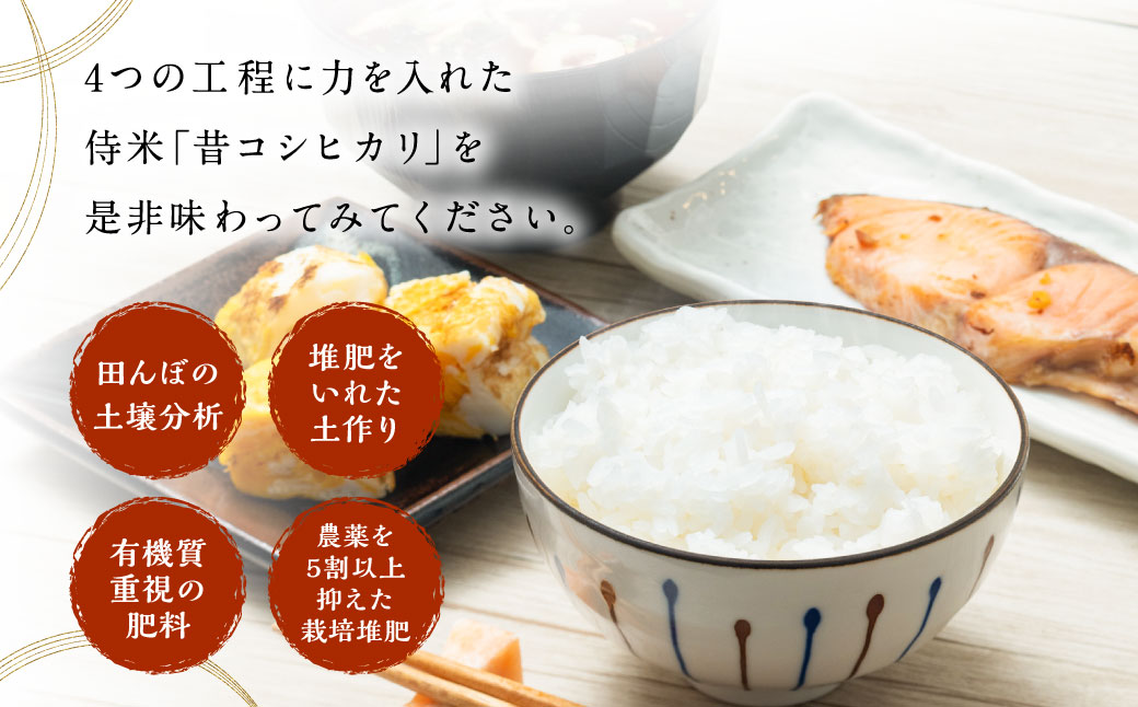 【定期便 6ヶ月】【令和6年産米】新潟県岩船産コシヒカリ  精米6kg（2kg×3個セット）×6ヶ月 1050001