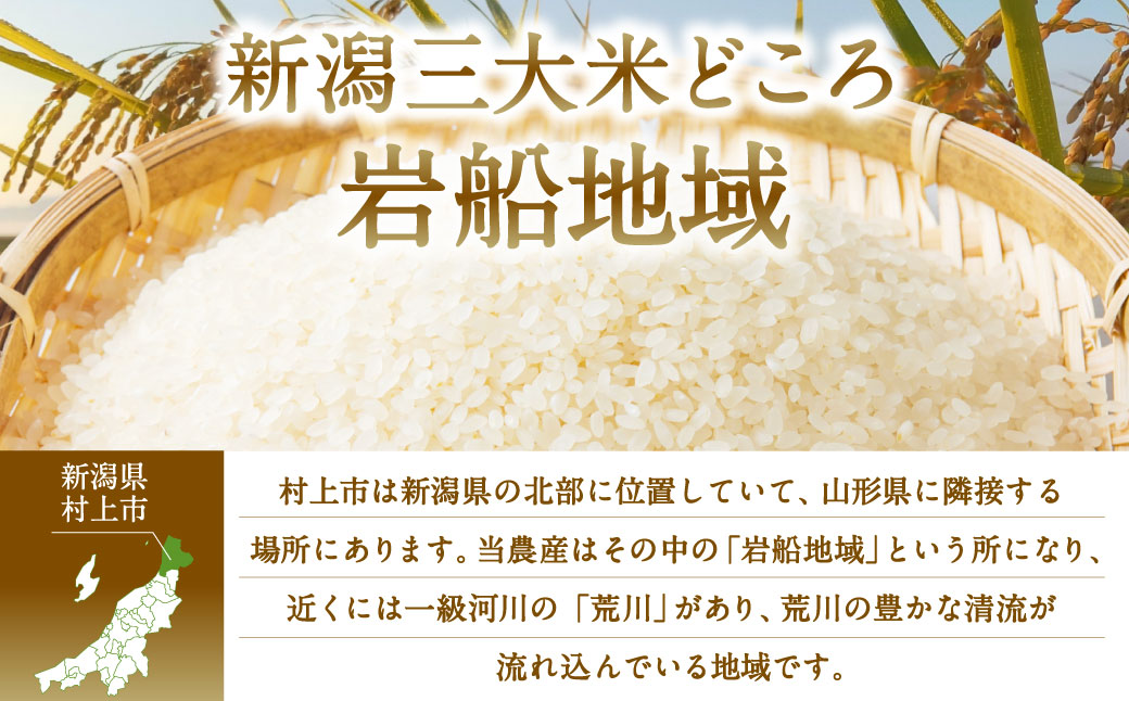 C4042 【令和5年産米】特別栽培米  新潟県岩船米コシヒカリ18kg（6kg×3ヶ月コース）